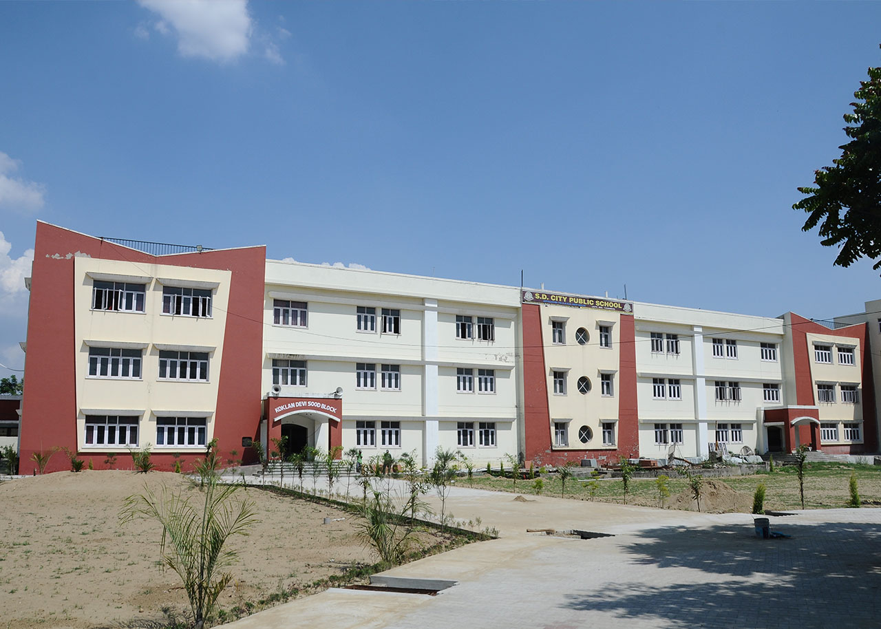 S.D.City Public School